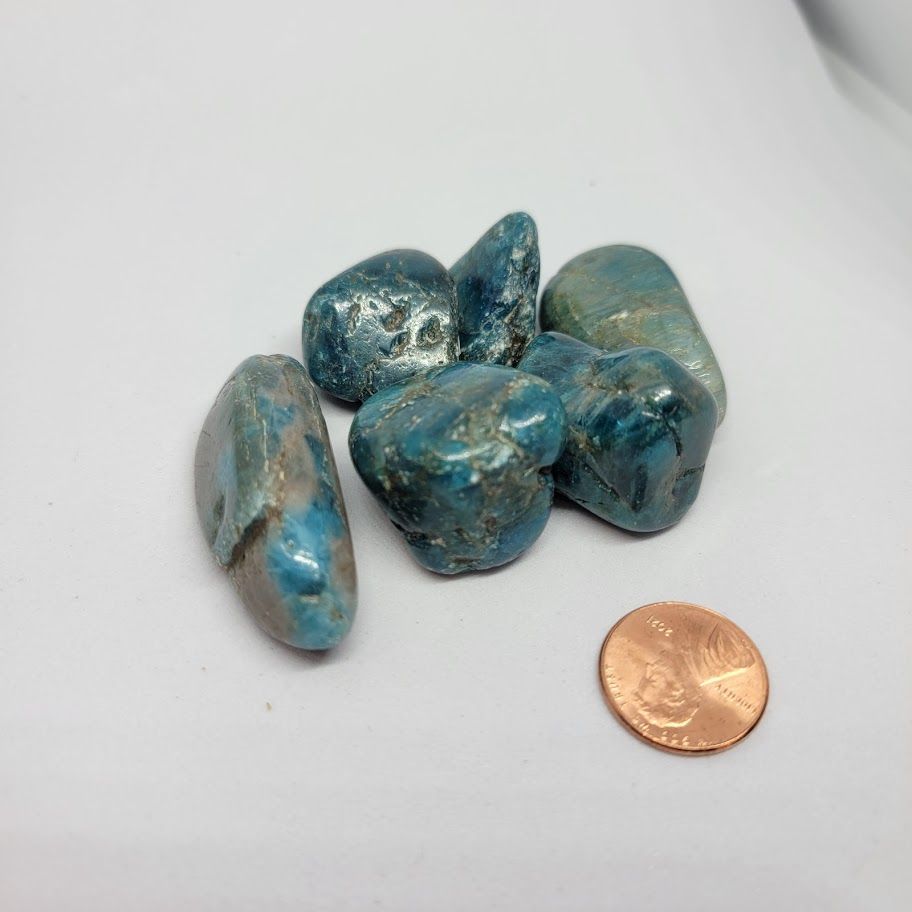 Apatite Blue A med | Tumbled Gemstone | Wiccan Center