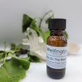Sex on the Beach Fragrance Oil