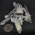 Lemurian Cluster - Extra Mini | Clusters | Wiccan Center