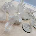 Lemurian Cluster - Mini | Clusters | Wiccan Center