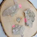 Lemurian Cluster - Medium | Clusters | Wiccan Center