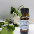 Pink Chiffon Fragrance Oil | Oil | Wiccan Center