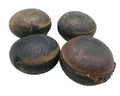 Ojo De Buey (Ox Eye) | Herbs | Wiccan Center