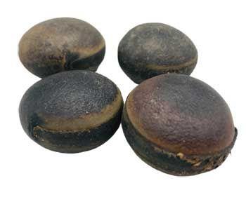 Ojo De Buey (Ox Eye) | Herbs | Wiccan Center