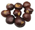 Buckeyes - Whole (1oz) | Herbs | Wiccan Center
