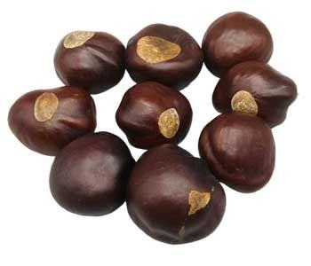 Buckeyes - Whole (1oz) | Herbs | Wiccan Center