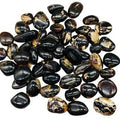 Zebra Amber | Tumbled Gemstone | Wiccan Center