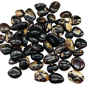Zebra Amber | Tumbled Gemstone | Wiccan Center