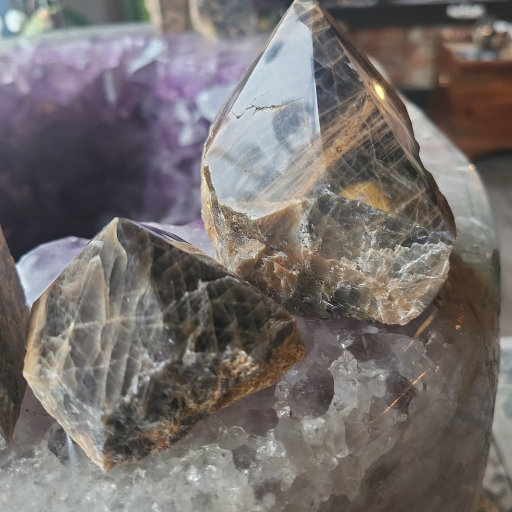 Black Moonstone Polished Point | | Wiccan Center