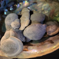 Fairy Stone | | Wiccan Center