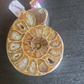 Sterling Silver Ammonite Pendant | | Wiccan Center