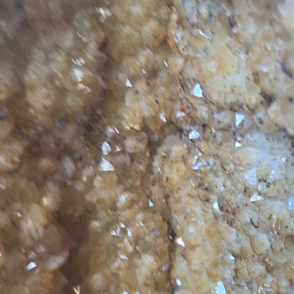 Citrine Cathedral | | Wiccan Center