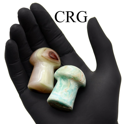 18 Piece Flat - Calcite & Crystal Mushrooms | Mix Gemstones | Wiccan Center