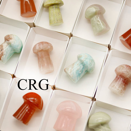 18 Piece Flat - Calcite & Crystal Mushrooms | Mix Gemstones | Wiccan Center