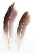 Natural Gray Goose Feather | Feathers | Wiccan Center