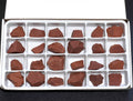Red Jasper Rough Raw Stones (24 Pcs) Boxed Flat | Home & Living > Home Decor > Home Accents > Rocks & Geodes | Wiccan Center