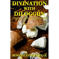 Divination with Diloggún: A Beginner's Guide to Diloggún and Obi - Paperback | Books | Wiccan Center