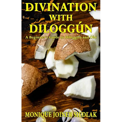 Divination with Diloggún: A Beginner's Guide to Diloggún and Obi - Paperback | Books | Wiccan Center