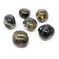 Tumbled Stromatolite Colombian (Singles) | Crystals & Minerals > Specimens | Wiccan Center