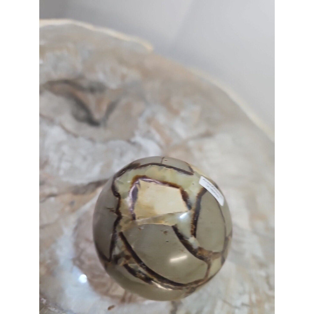 1pcs 241g Natural Septarian Sphere Crystal Healing Energy