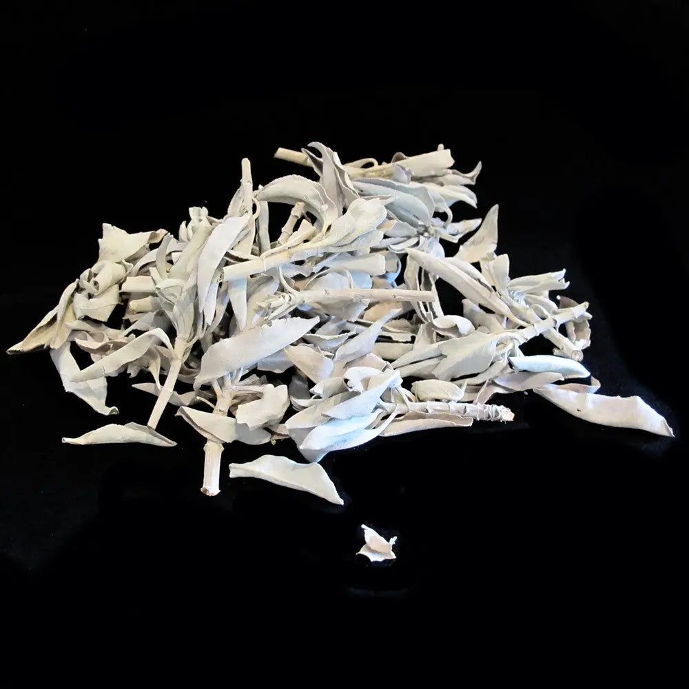 California White Sage 1oz | Sage | Wiccan Center