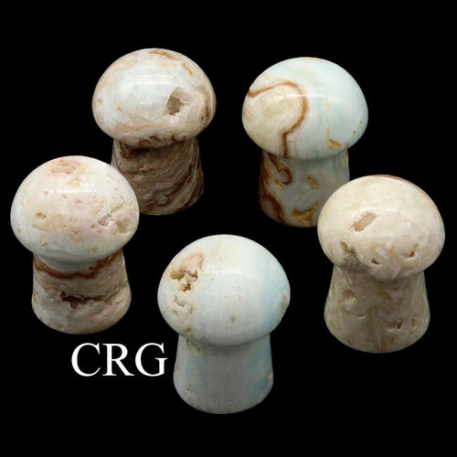 2 KILO LOT - Caribbean Calcite Mushrooms / MIXED SIZES | Caribbean Calcite | Wiccan Center