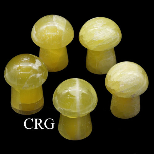 2 KILO LOT - Lemon Calcite Mushrooms / MIXED SIZES | Lemon Calcite | Wiccan Center