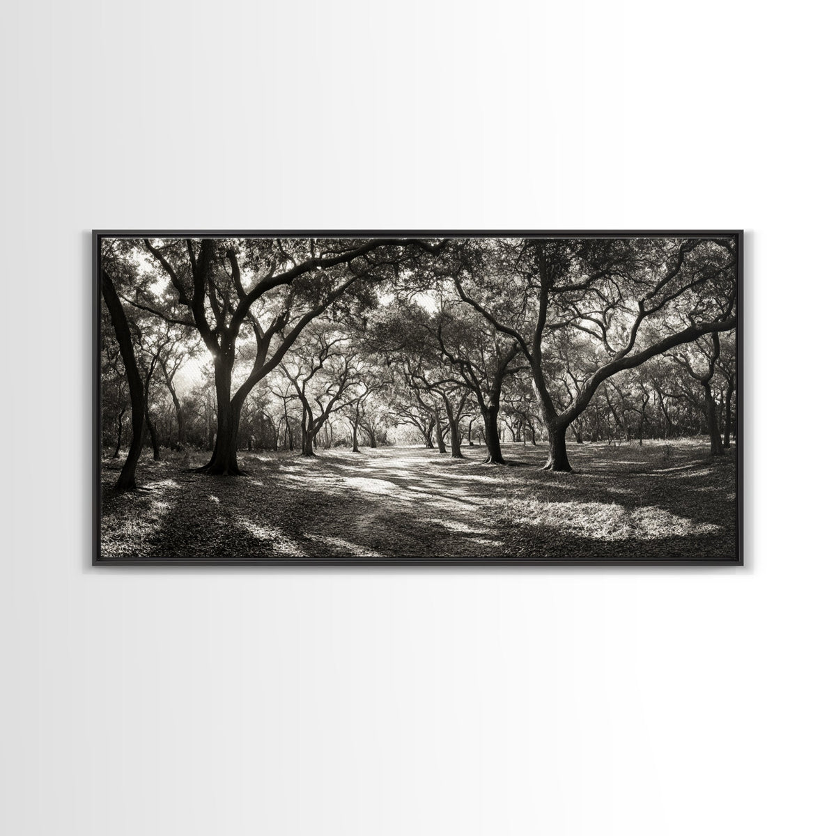 Oak Tree Path, Autumn Forest Glow, Nature Trail Photography, Framed Canvas Print, Hallway Wall Art, Earthy Decor, Woodland Art | | Wiccan Center