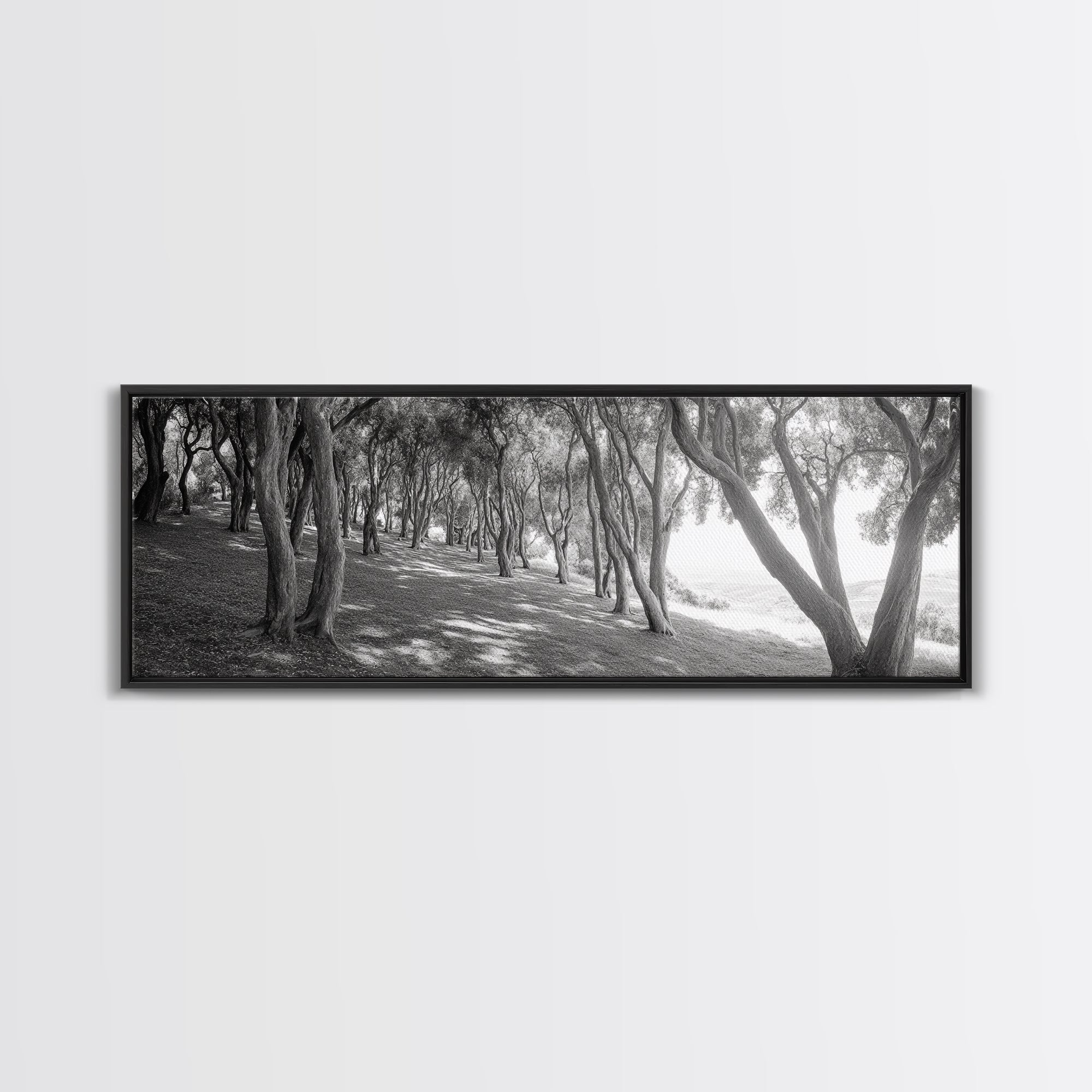 Forest Path, Tree Tunnel, Light Shadows, Woodland Magic, Framed Canvas Print, Nature Lover Gift, Entryway Wall Art, Modern Rustic Style
