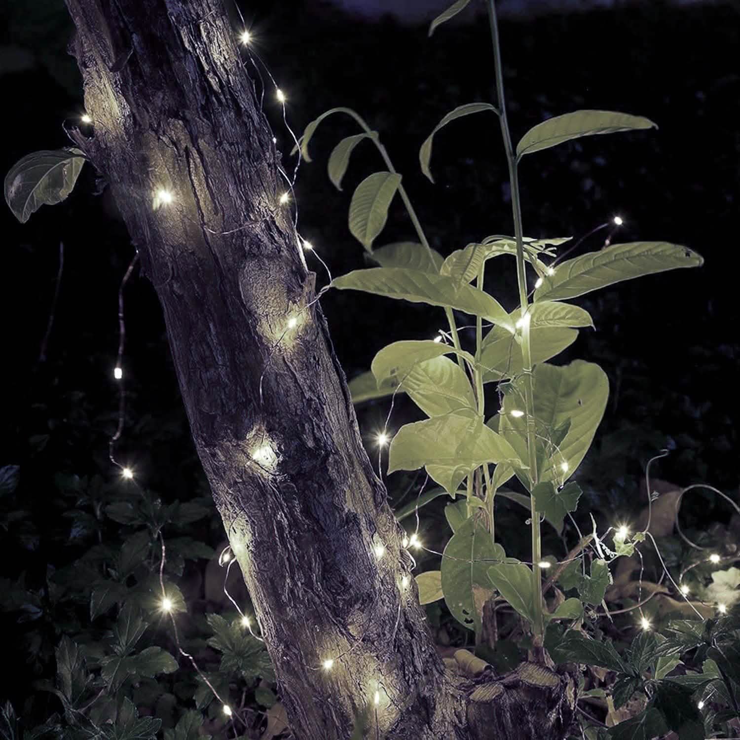 2-Piece: 100LED Beads String Lights | String & Fairy Lights | Wiccan Center