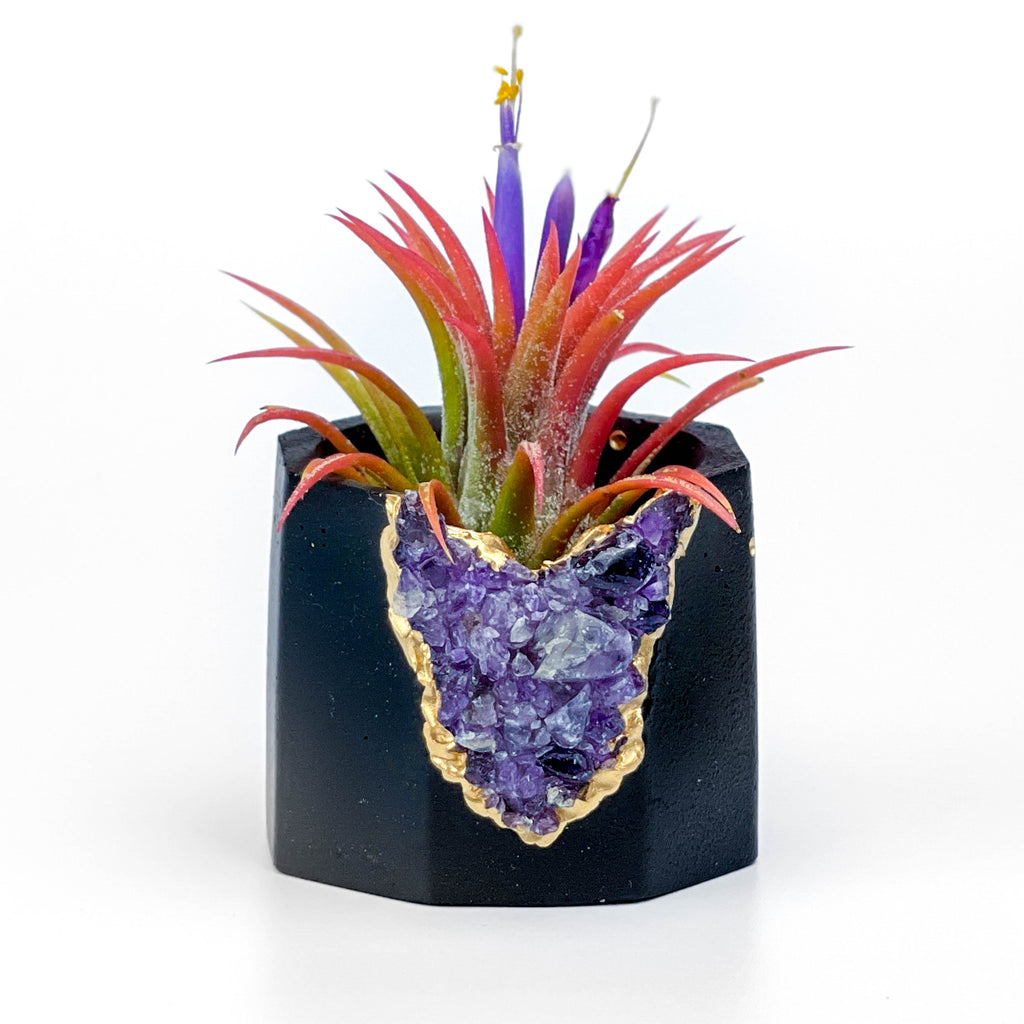 Black AMETHYST GEODE PLANTER