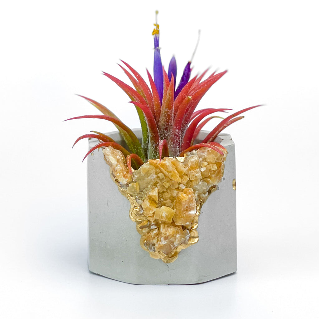 ORANGE CALCITE GEODE PLANTER