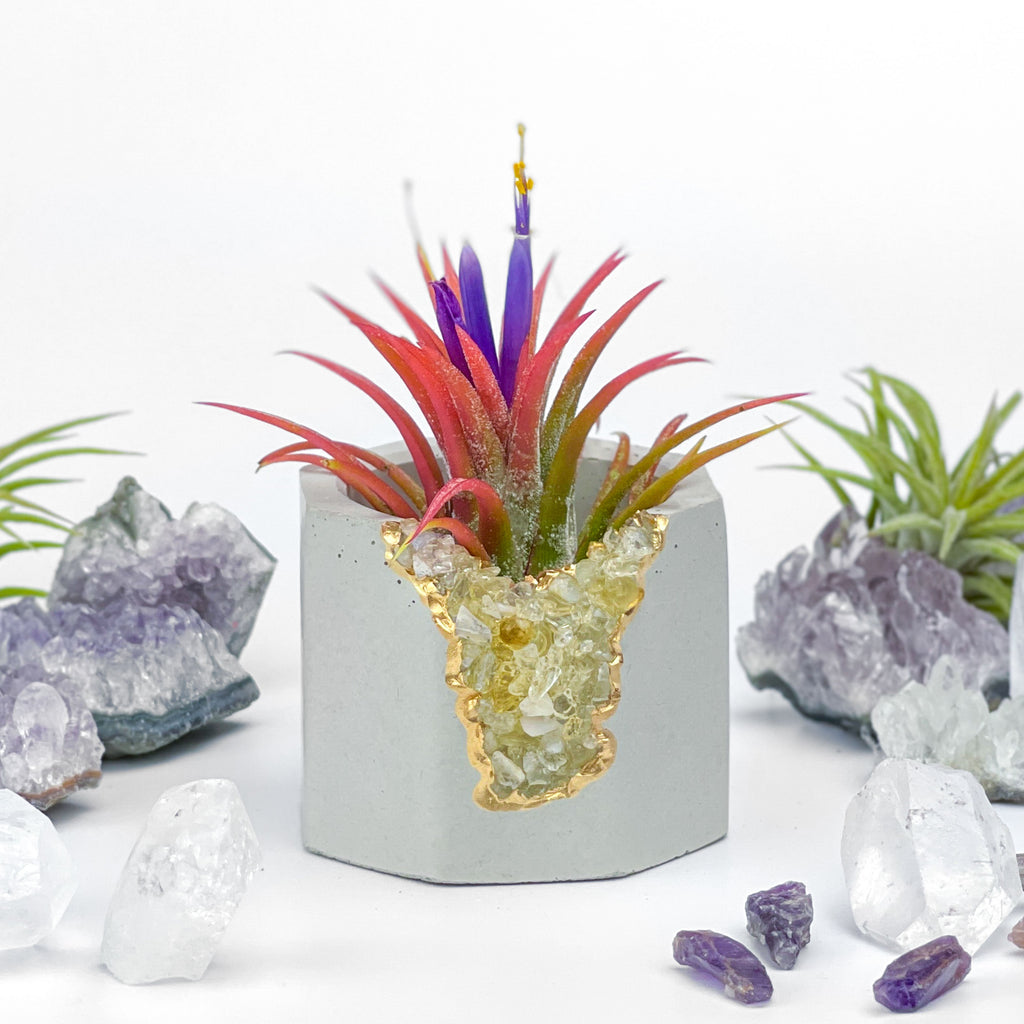 CITRINE GEODE PLANTER