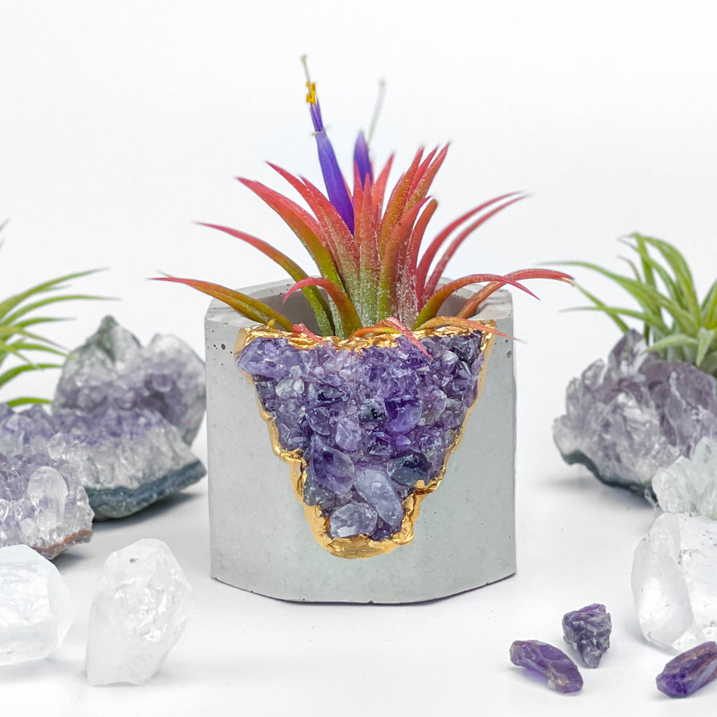 AMETHYST GEODE PLANTER
