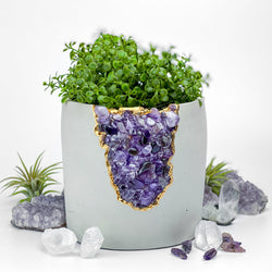N°5 AMETHYST AURA PLANTER | Aura Planter | Wiccan Center