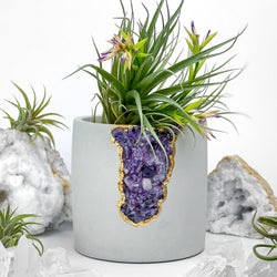 N°4 AMETHYST AURA PLANTER | Aura Planter | Wiccan Center