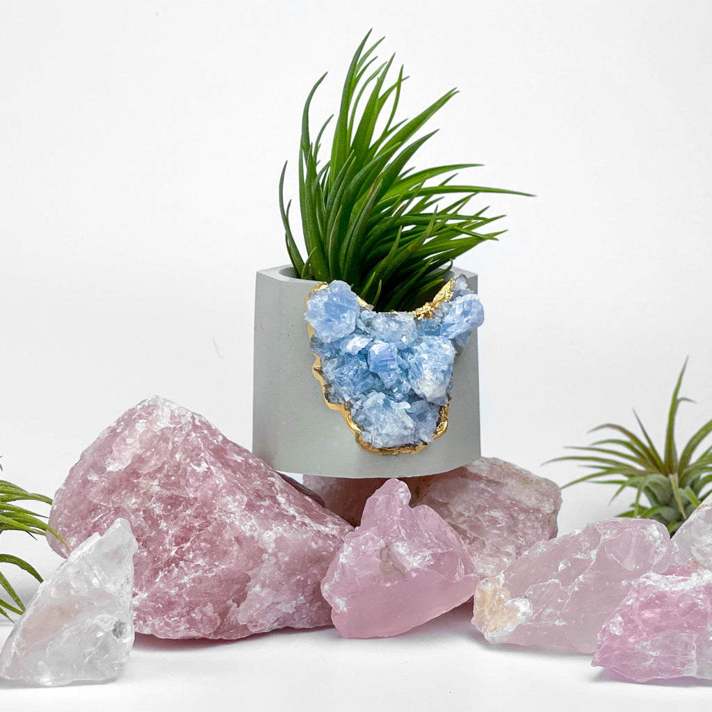 BLUE CALCITE GEODE PLANTER