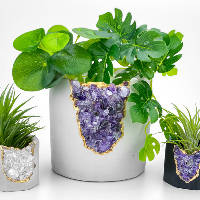N°5 AMETHYST AURA PLANTER