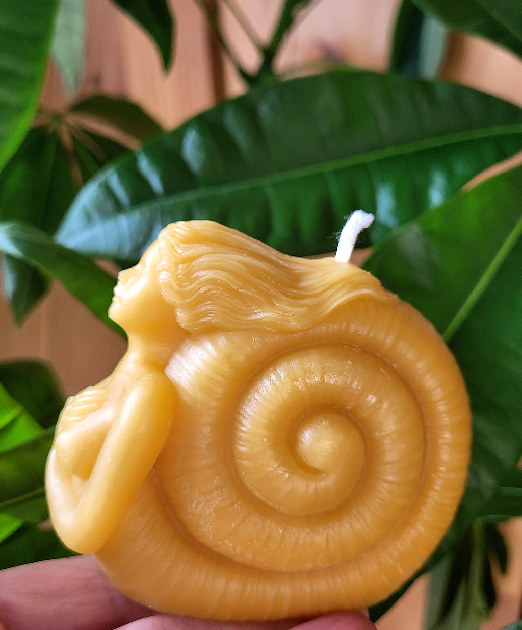 Figure Head, Mermaid, Seashell Candle | Candle | Wiccan Center