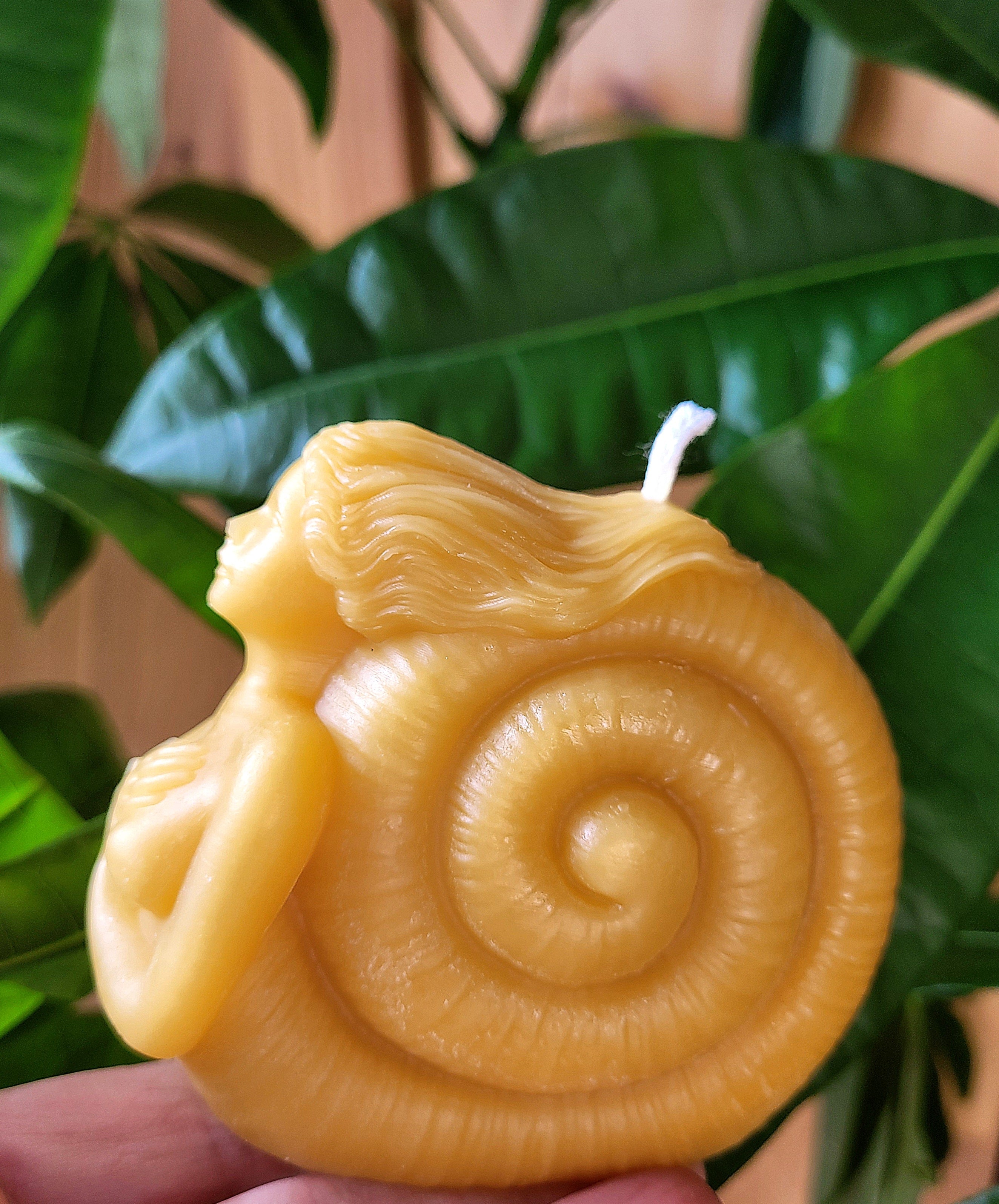 Figure Head, Mermaid, Seashell Candle | Candle | Wiccan Center