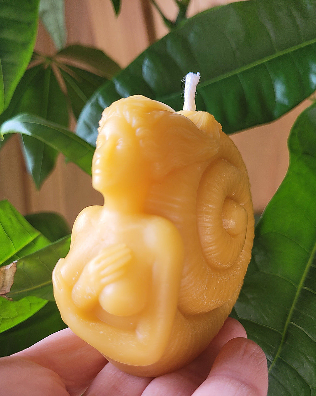 Figure Head, Mermaid, Seashell Candle | Candle | Wiccan Center