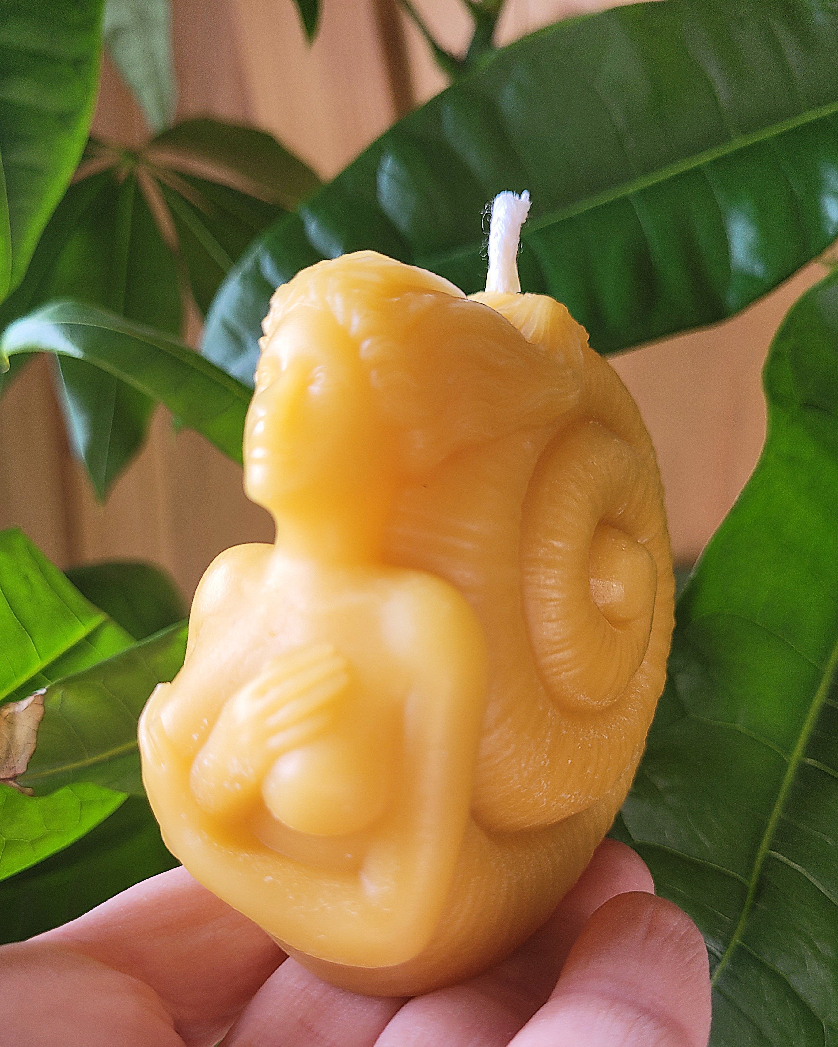 Figure Head, Mermaid, Seashell Candle | Candle | Wiccan Center