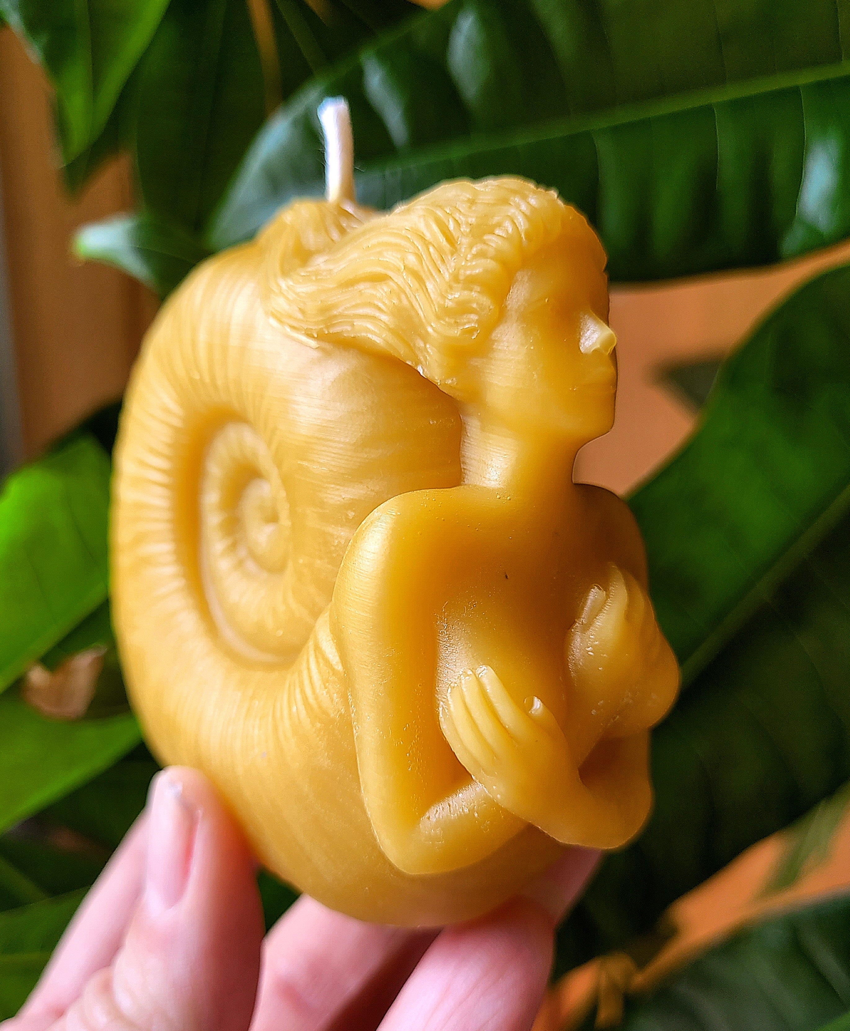Figure Head, Mermaid, Seashell Candle | Candle | Wiccan Center