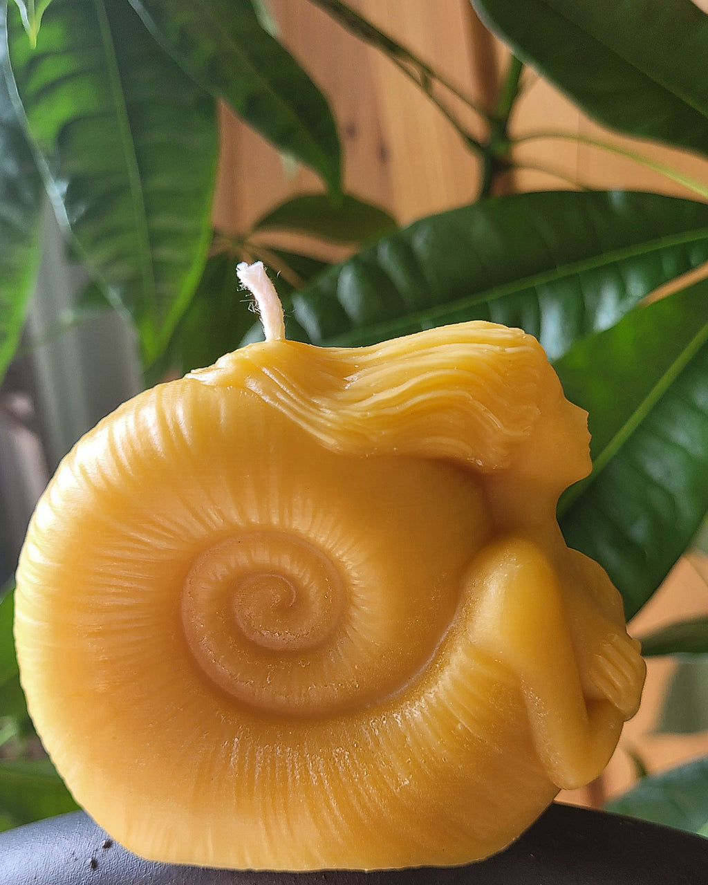 Figure Head, Mermaid, Seashell Candle | Candle | Wiccan Center