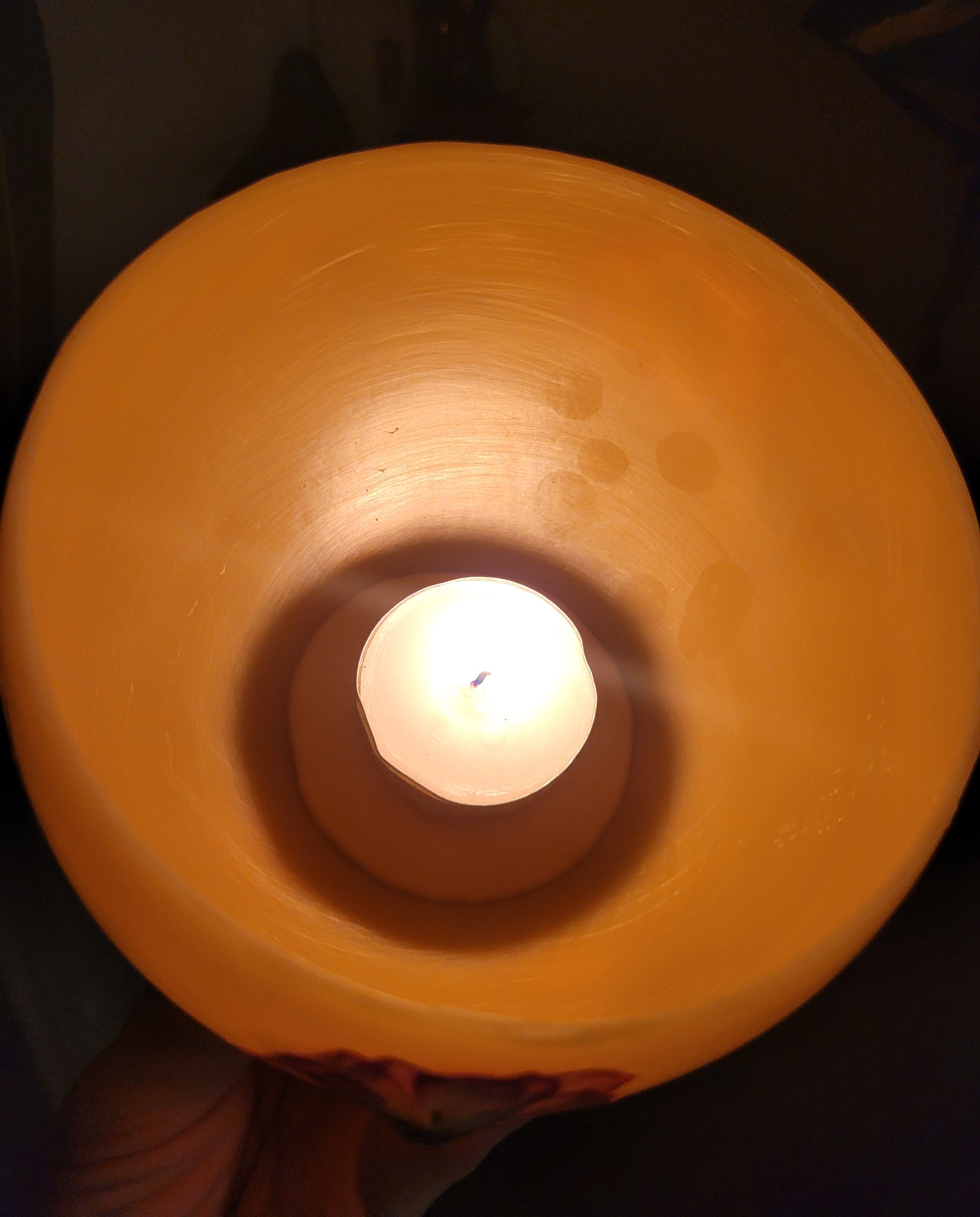 Botanical Luminaries
