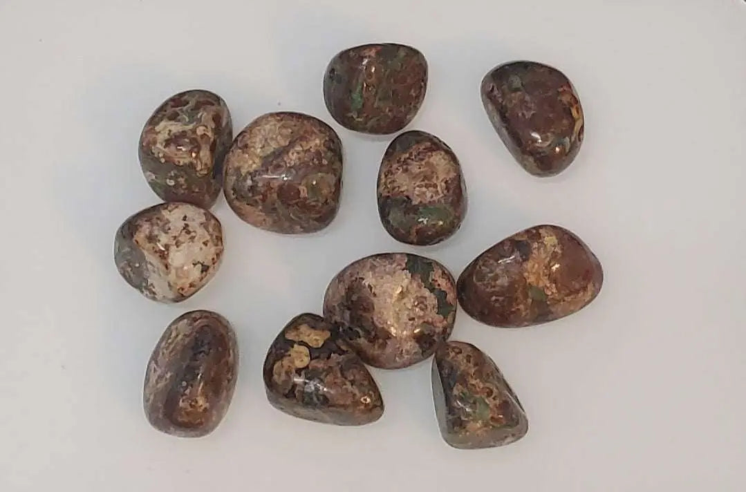 Green Leopardskin Jasper Tumbled Pocket Stone | Jasper | Wiccan Center