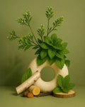 cypress embrace & minted grove™ fragrance oil | fragrances | Wiccan Center
