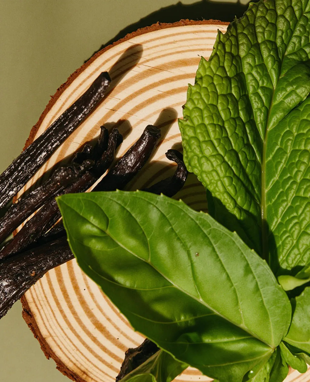 cypress embrace & minted grove™ fragrance oil | fragrances | Wiccan Center
