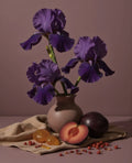sugar plum & velvet dream™ fragrance oil | fragrances | Wiccan Center