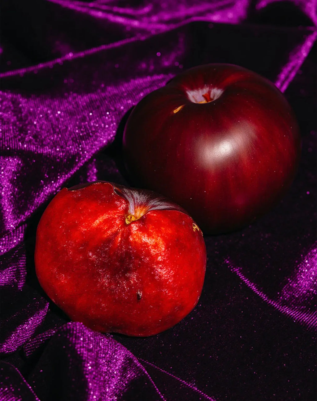 sugar plum & velvet dream™ fragrance oil | fragrances | Wiccan Center